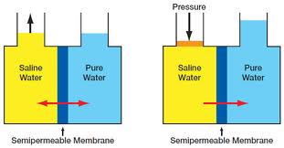 rochem semipermeable membrane